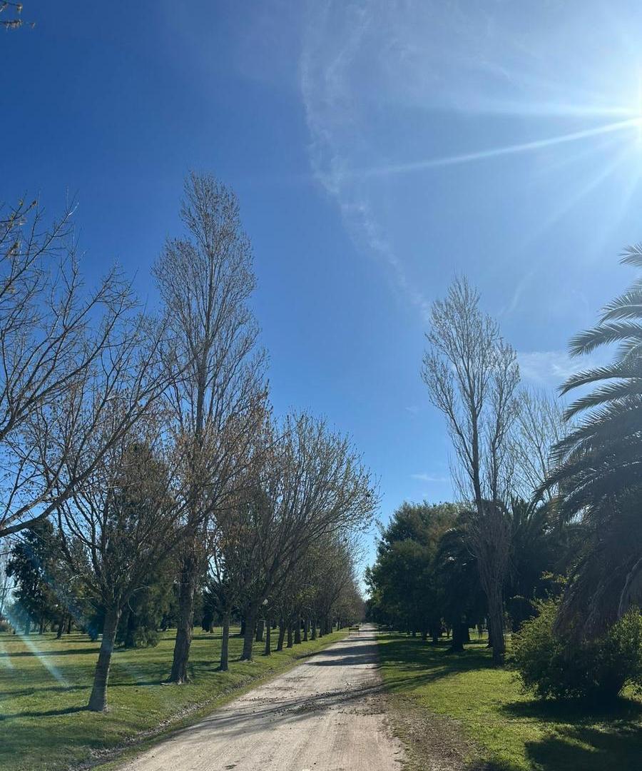 Foto de TERRENO VENTA BRANDSEN POSADA DE LOS LAGOS, imagen 2