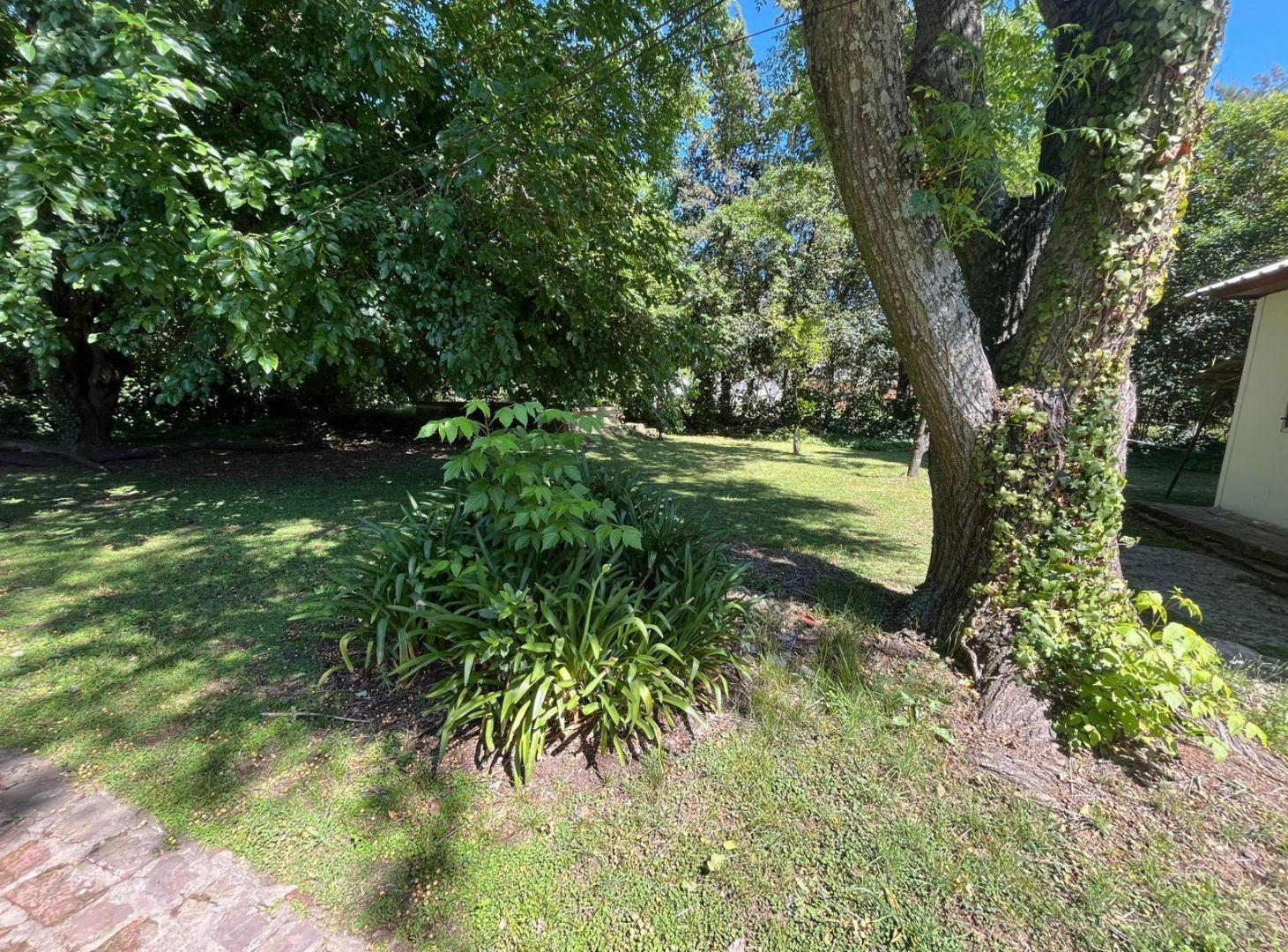 Foto de Lote en venta en Arturo Segui, imagen 3