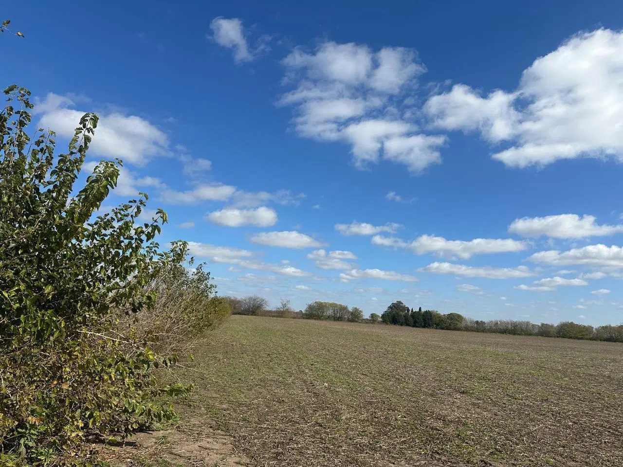 Campo 11 has agricolas a 1500mts autopista, libre de mejoras 5