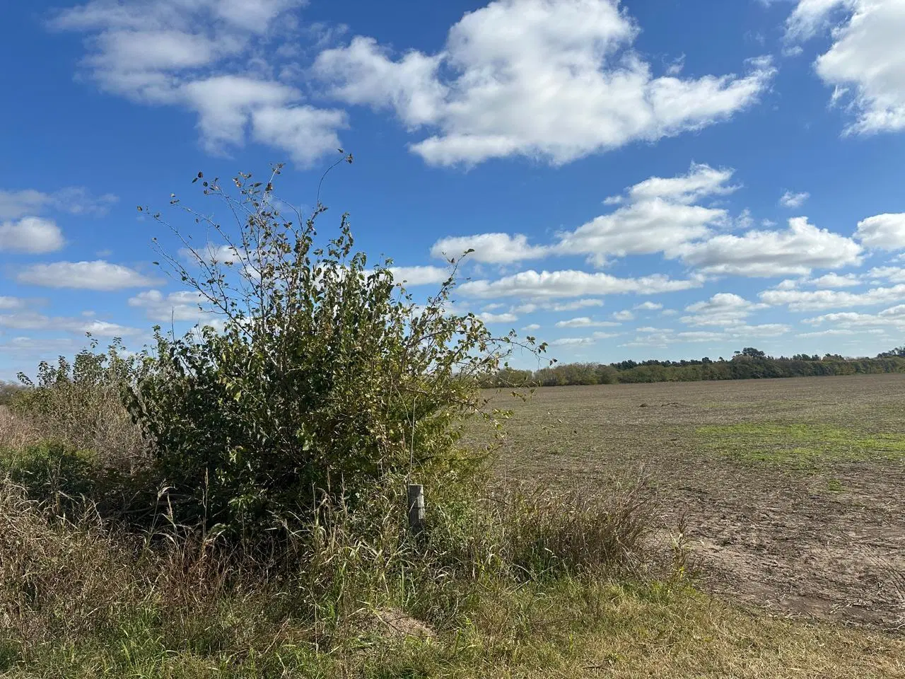 Campo 11 has agricolas a 1500mts autopista, libre de mejoras 3
