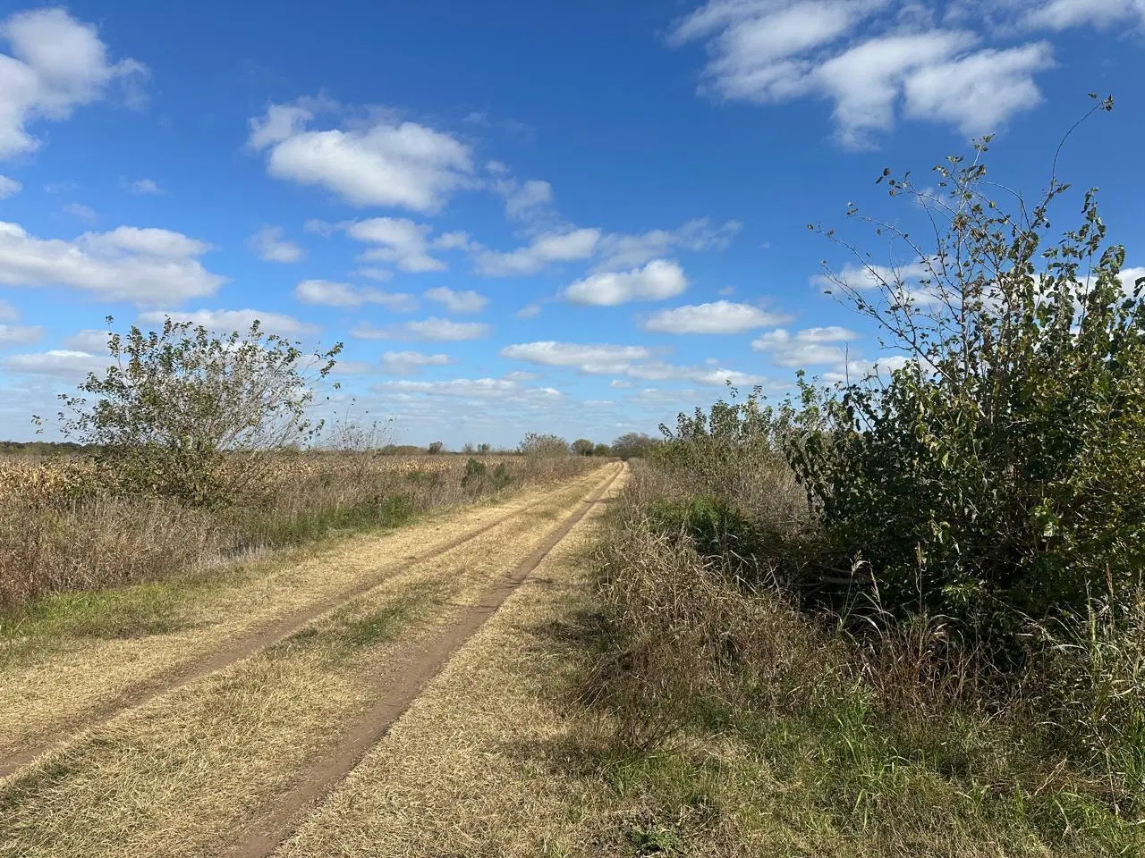 Campo 11 has agricolas a 1500mts autopista, libre de mejoras 4