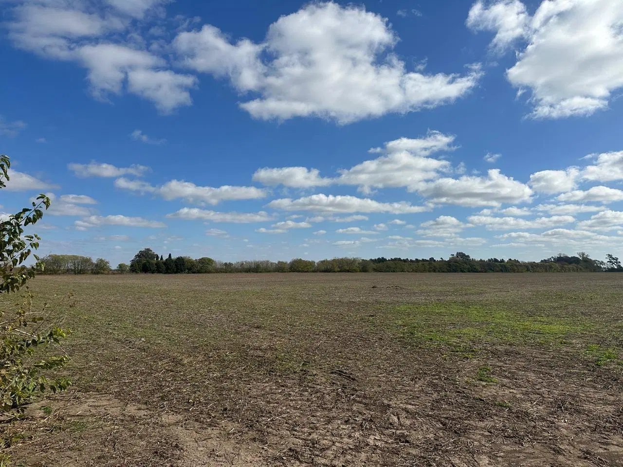 Campo 11 has agricolas a 1500mts autopista, libre de mejoras 1