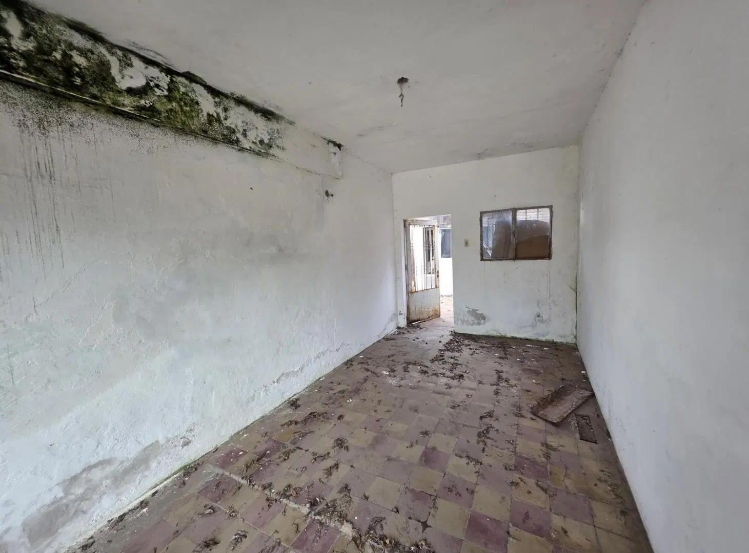 Casa de dos dormitorios - Maciel 5