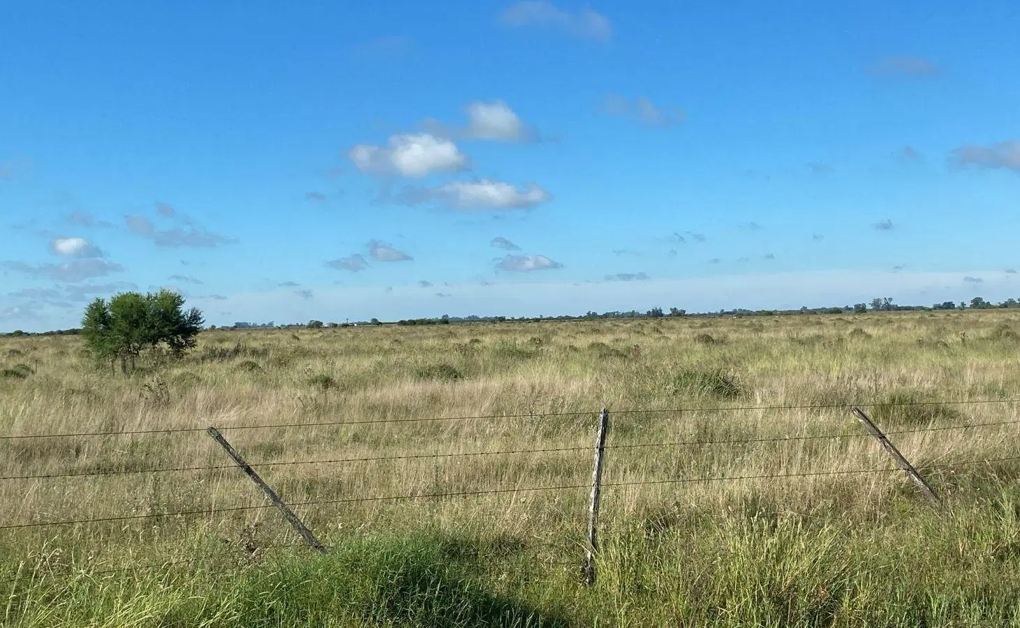 Campo en estacion diaz 2