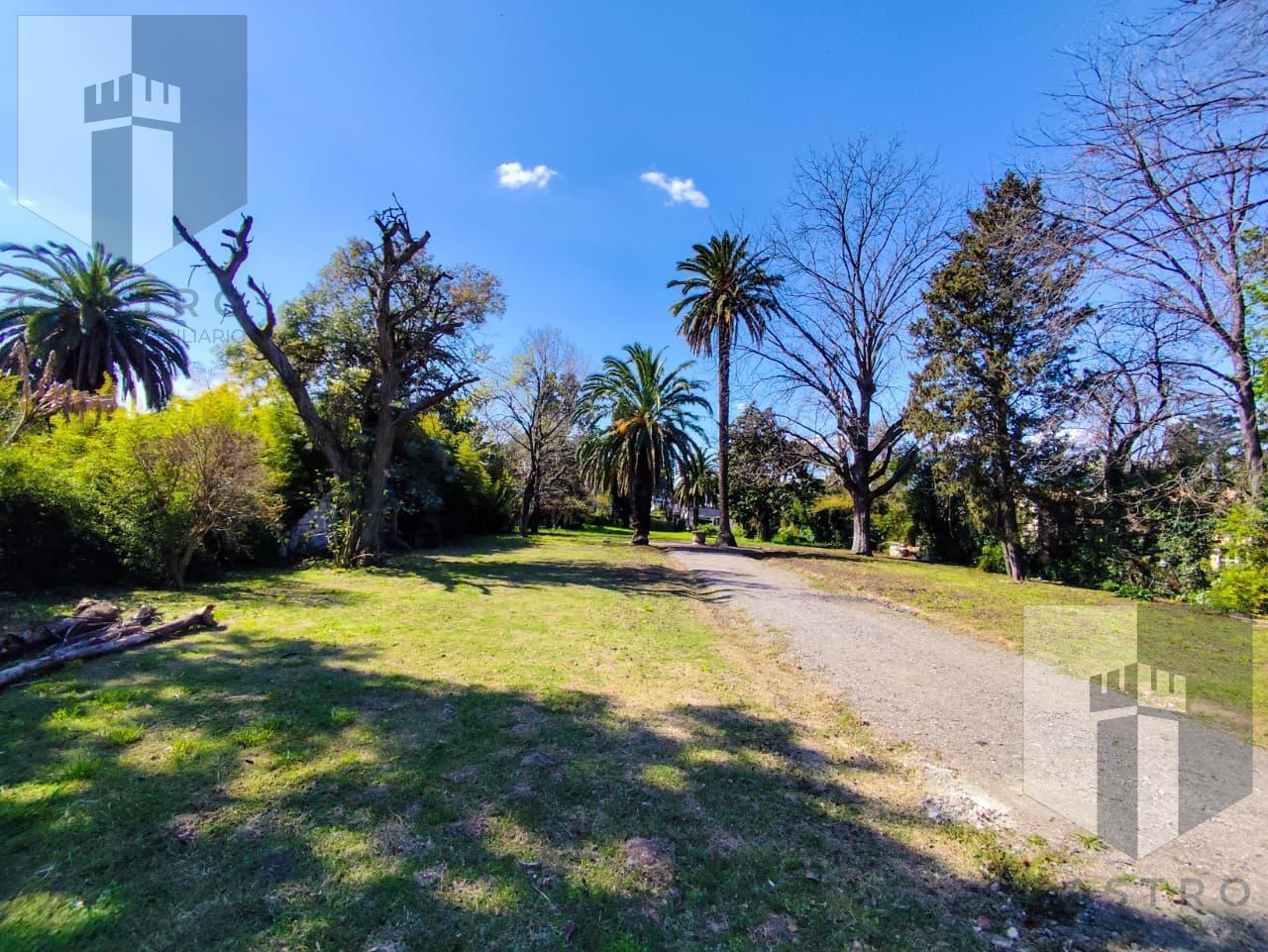 Foto de Venta Terreno en Bella Vista Barrio Portón Oportunidad, imagen 5