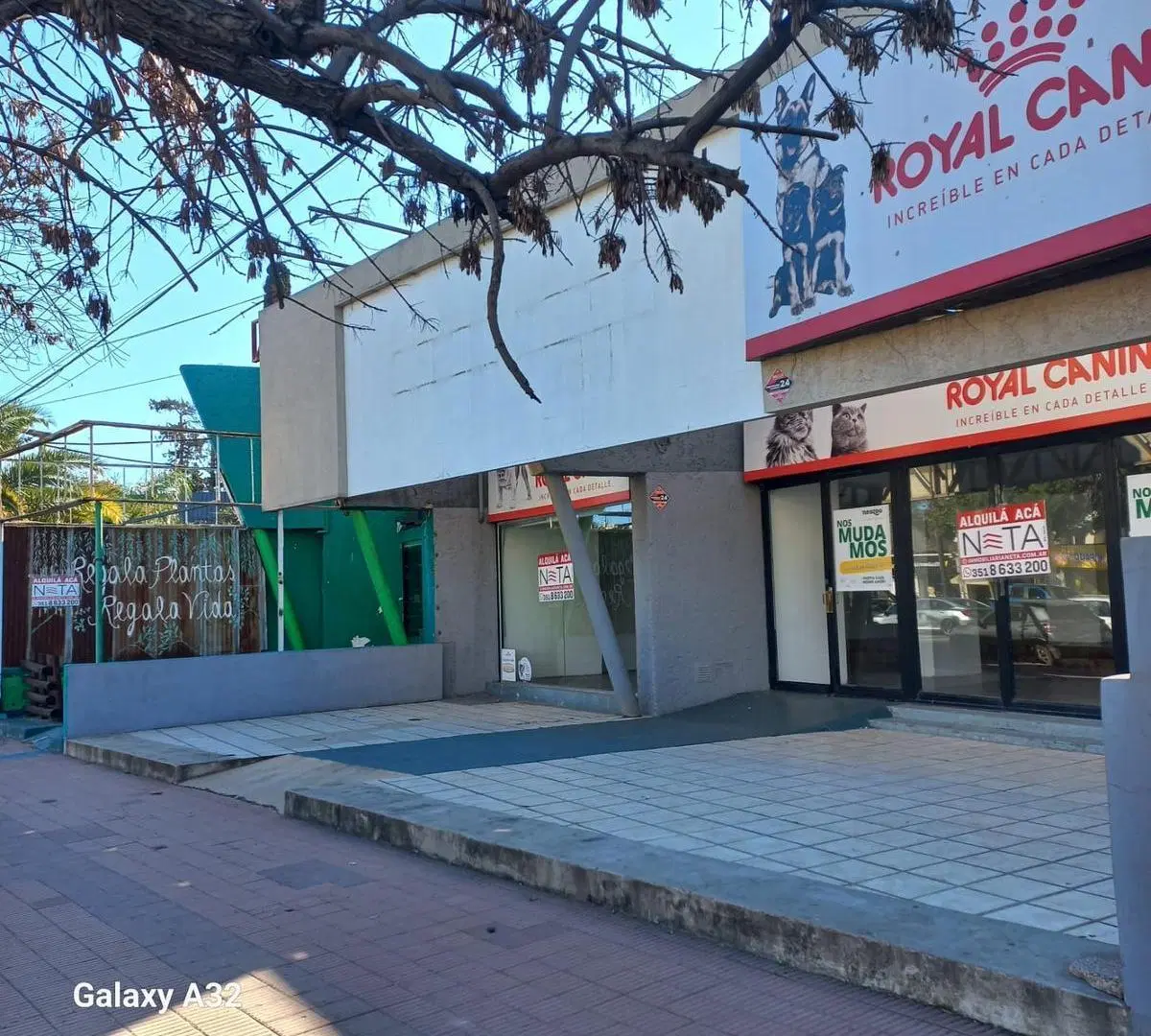Local en Cerro De Las Rosas 4