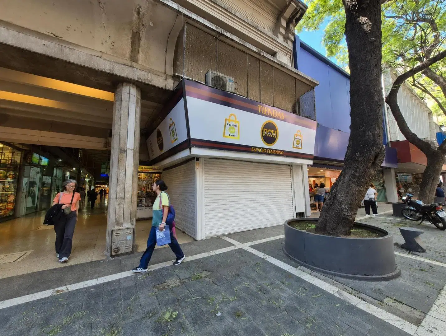 Local en Centro 2