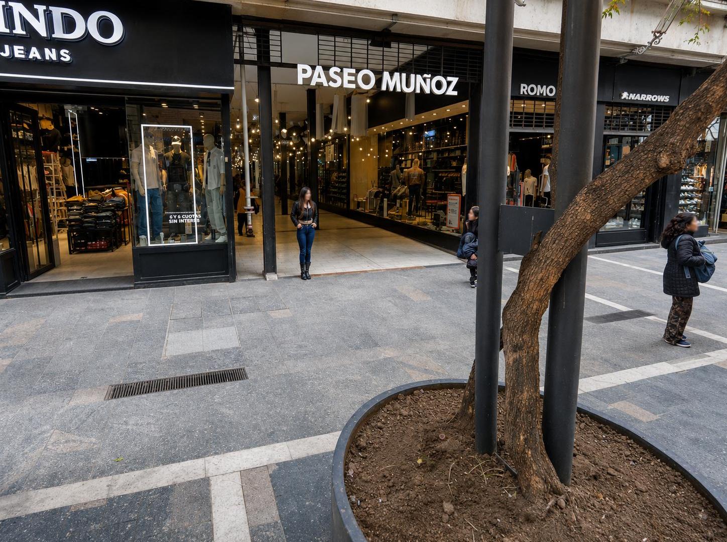 Foto de ALQUILER | 9 DE JULIO | PEATONAL CENTRO | LOCAL | DOBLE VIDRIERA, imagen 3