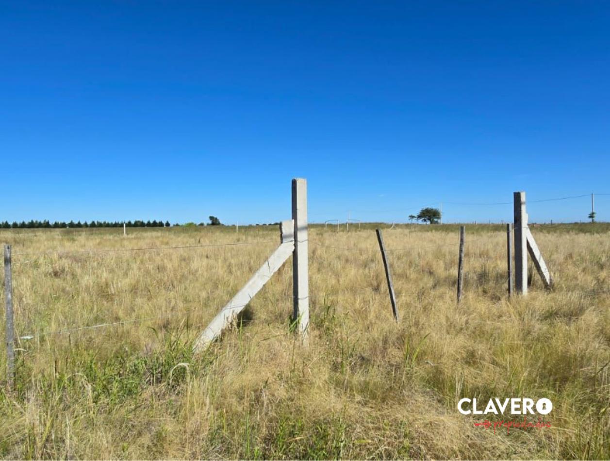 Chacras Lemu Cuyen - Ataliva Roca