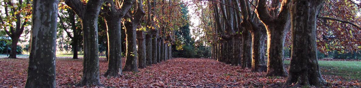 Terreno en Azahares del Paraná 5