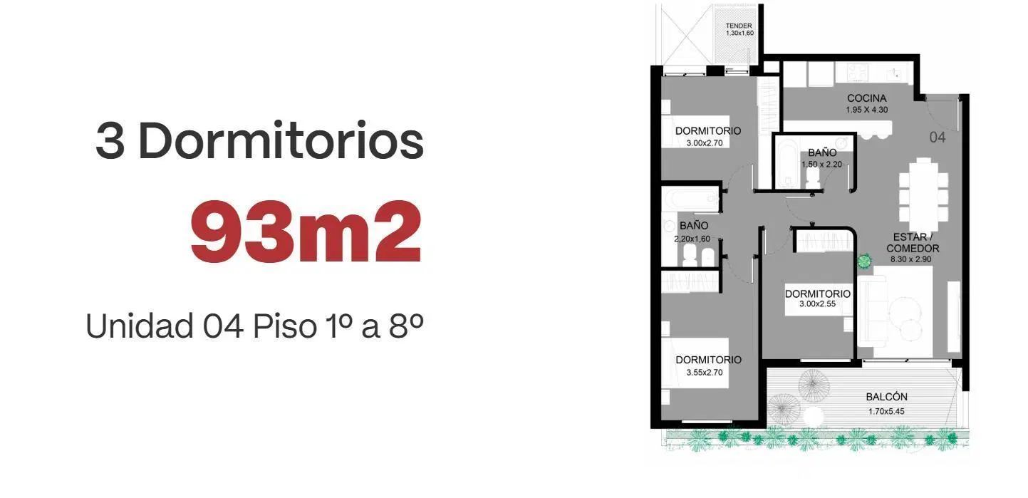 Plano 6