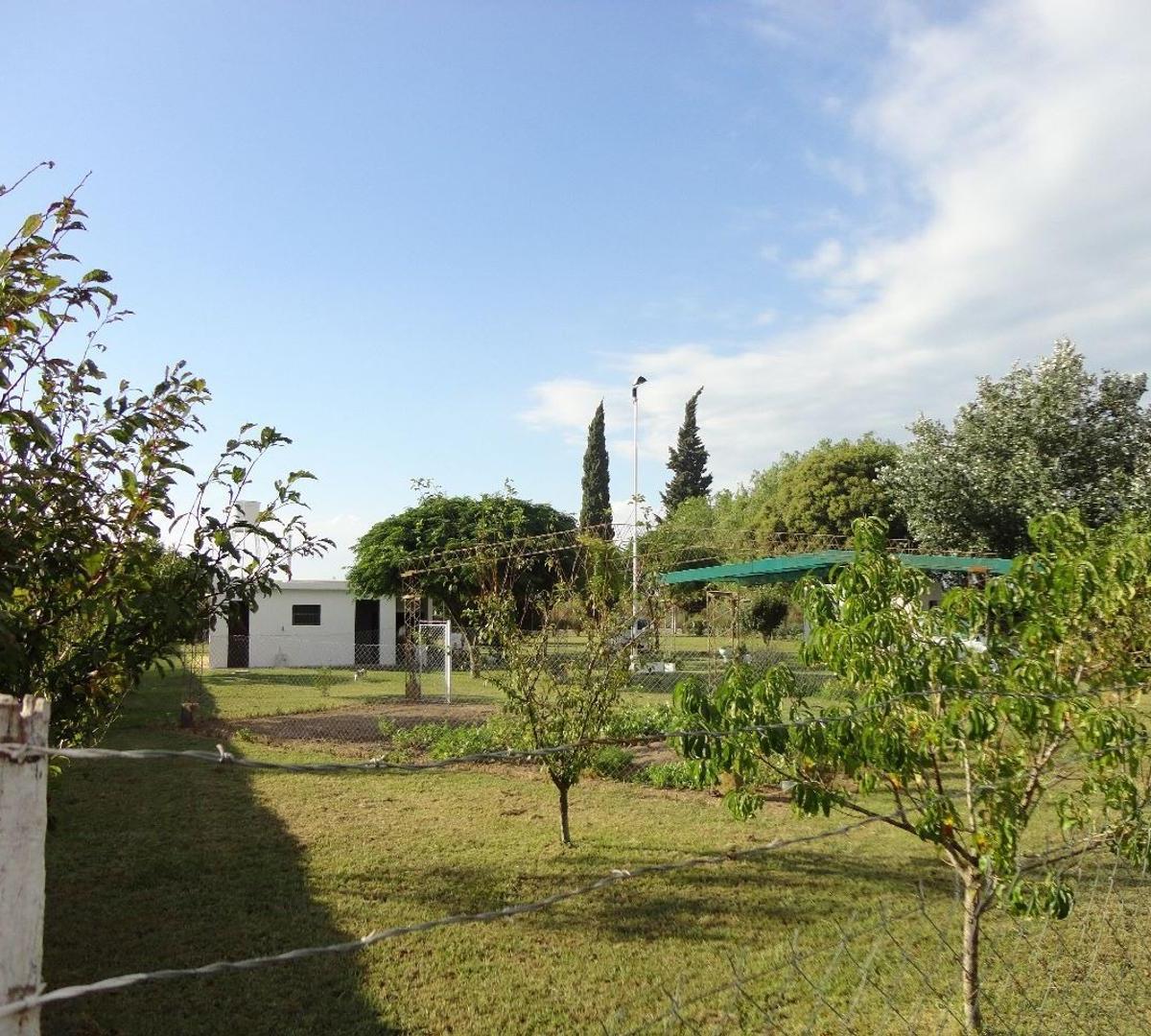 Fighiera, Campo de 2 Ha, Casa de un Dormitorio 3