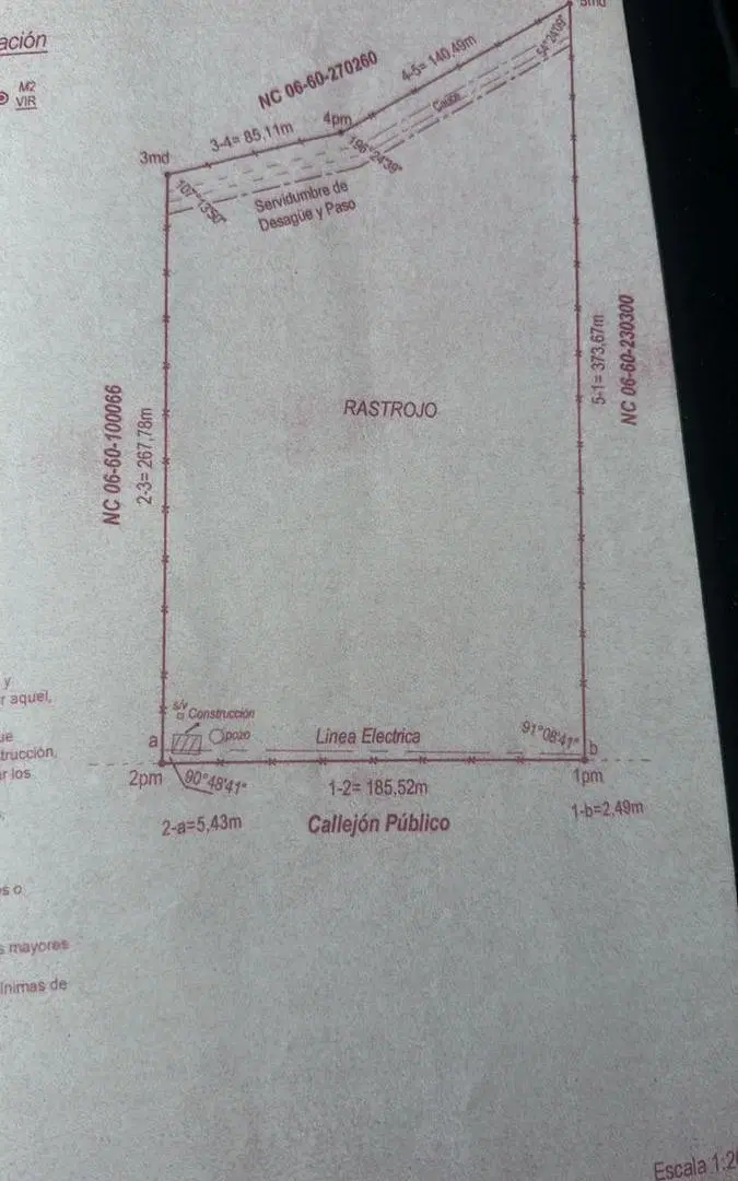 Plano 1