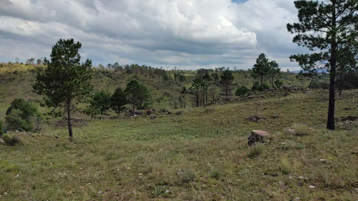 Campo de 5 has en Pampa Alta 3