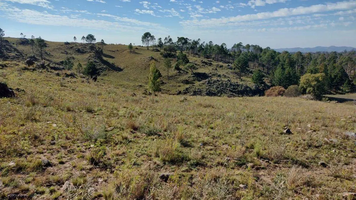 Campo de 5 has en Pampa Alta 5