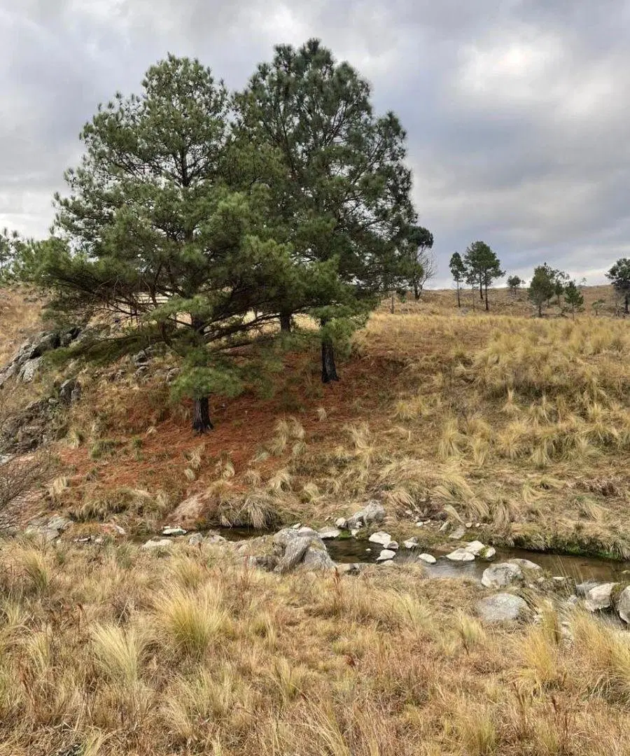 Campo de 5 has en Pampa Alta 2