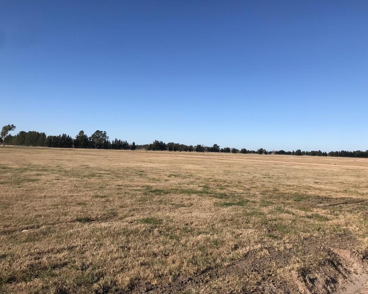 Lote en San Vicente Fincas Joven