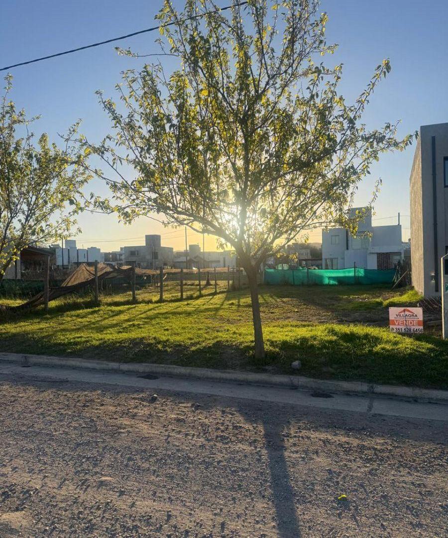 Foto de ¡LISTO PARA CONSTRUIR! Terreno Premium con Planos Aprobados en Tejas 4, imagen 3