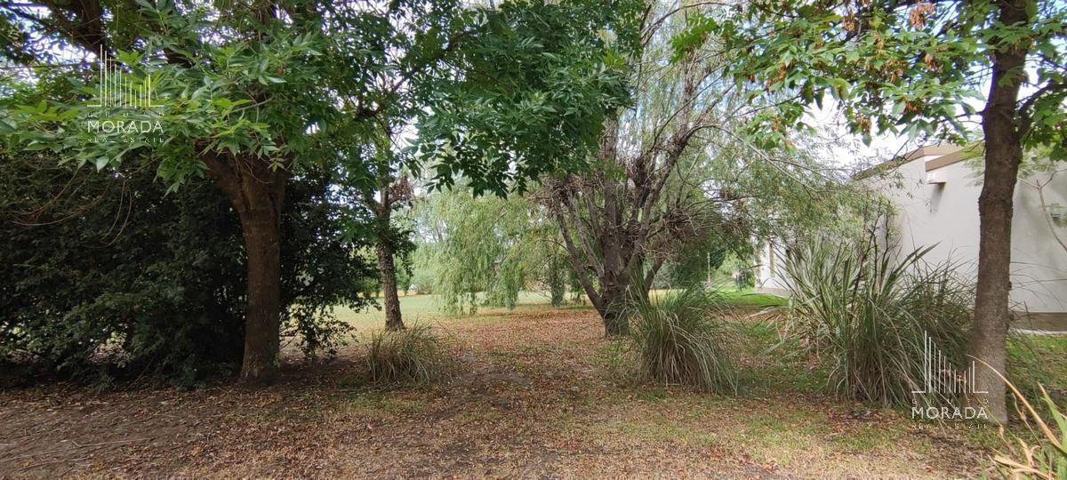 VENTA LOTE CENTRAL EN CC SAN FRANCISCO MANZANARES PILAR