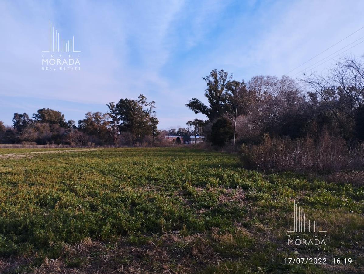 VENTA TERRENO INDUSTRIAL EXALTACION DE LA CRUZ NOGALIS APTO CREDITO
