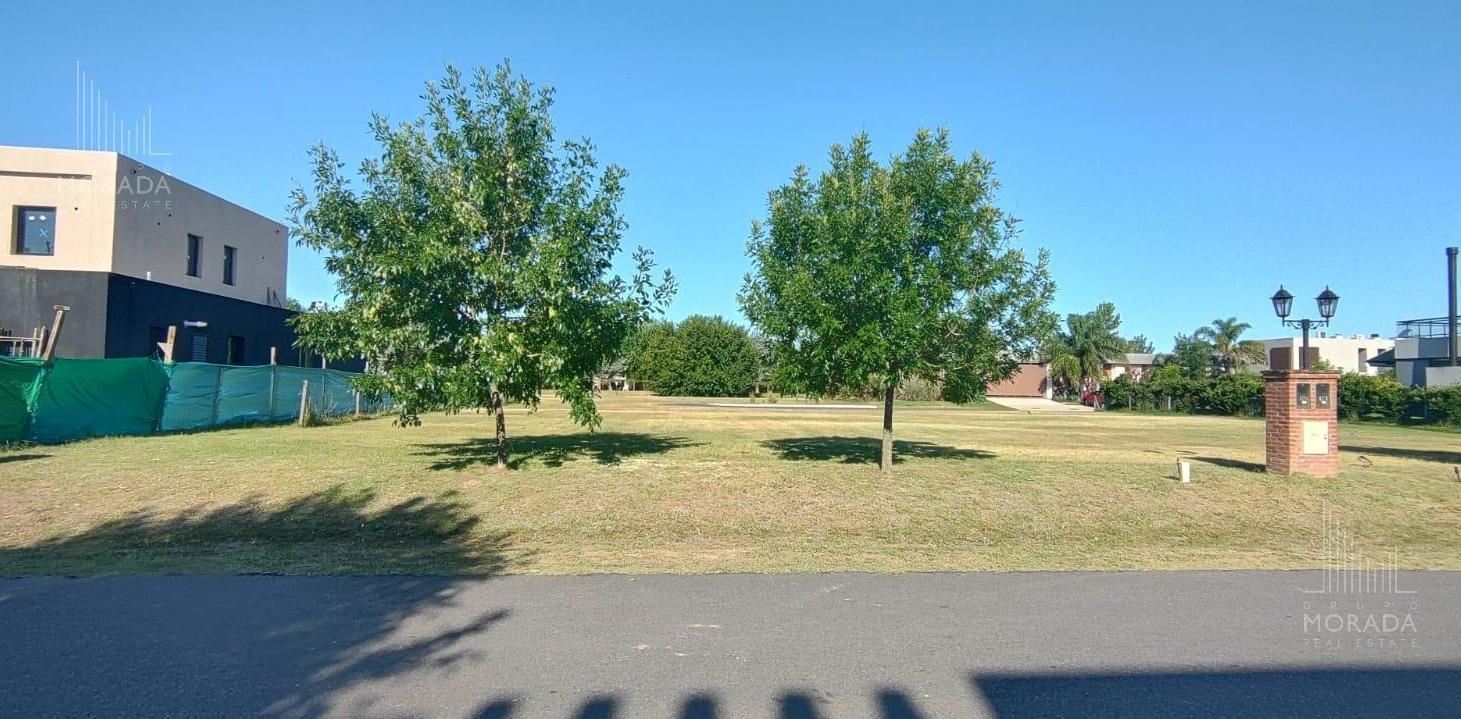Terreno en venta en Altos de Campo Grande