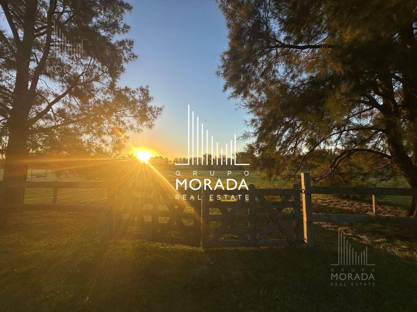 Foto de Venta LOTE CENTRAL de 5.000 M2. ÚNICO POR SU UBICACIÓN. OPORTUNIDAD, imagen 2