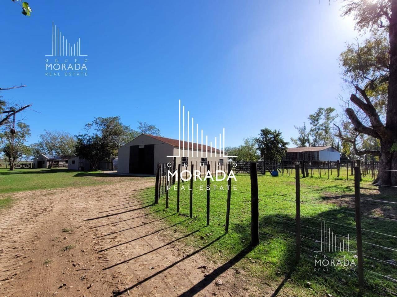 Foto de Venta campo agricola de 162 has con galpones y casa de visitas en Gral, imagen 1