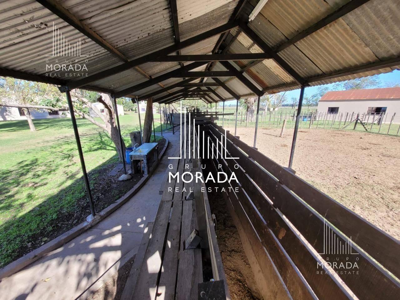 Foto de Venta campo agricola de 162 has con galpones y casa de visitas en Gral, imagen 4