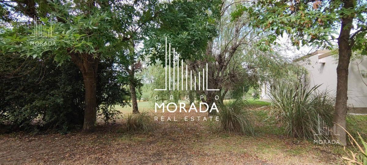 Foto de VENTA LOTE CENTRAL EN CC SAN FRANCISCO MANZANARES PILAR, imagen 4