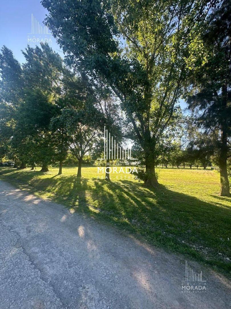Foto de VENTA Lote CENTRAL El Malacate. Arboleda atrás y adelante. Espacio, imagen 5
