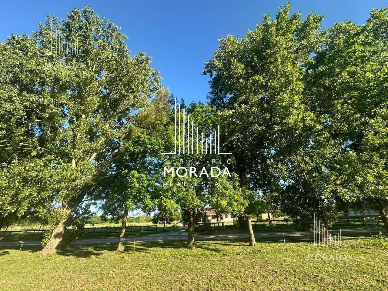 Foto de VENTA Lote CENTRAL El Malacate. Arboleda atrás y adelante. Espacio, imagen 3