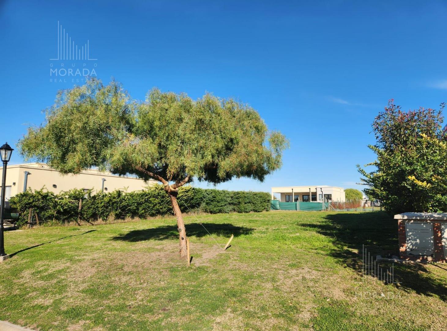 Foto de VENTA TERRENO PILAR, imagen 5