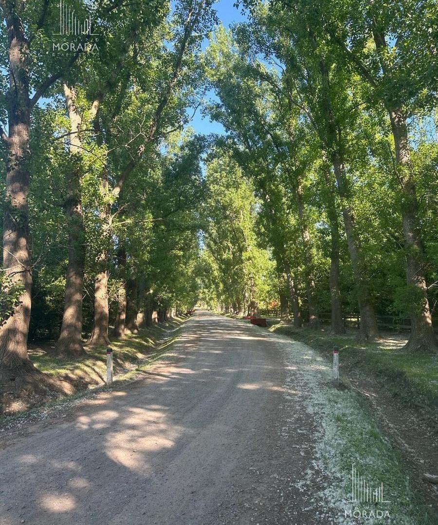 Foto de Venta Lote central y arbolado en Haras el Malacate Exaltación de la Cruz, imagen 5