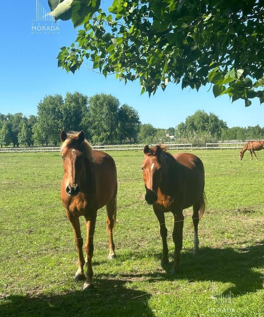 Foto de Venta Lote central y arbolado en Haras el Malacate Exaltación de la Cruz, imagen 4