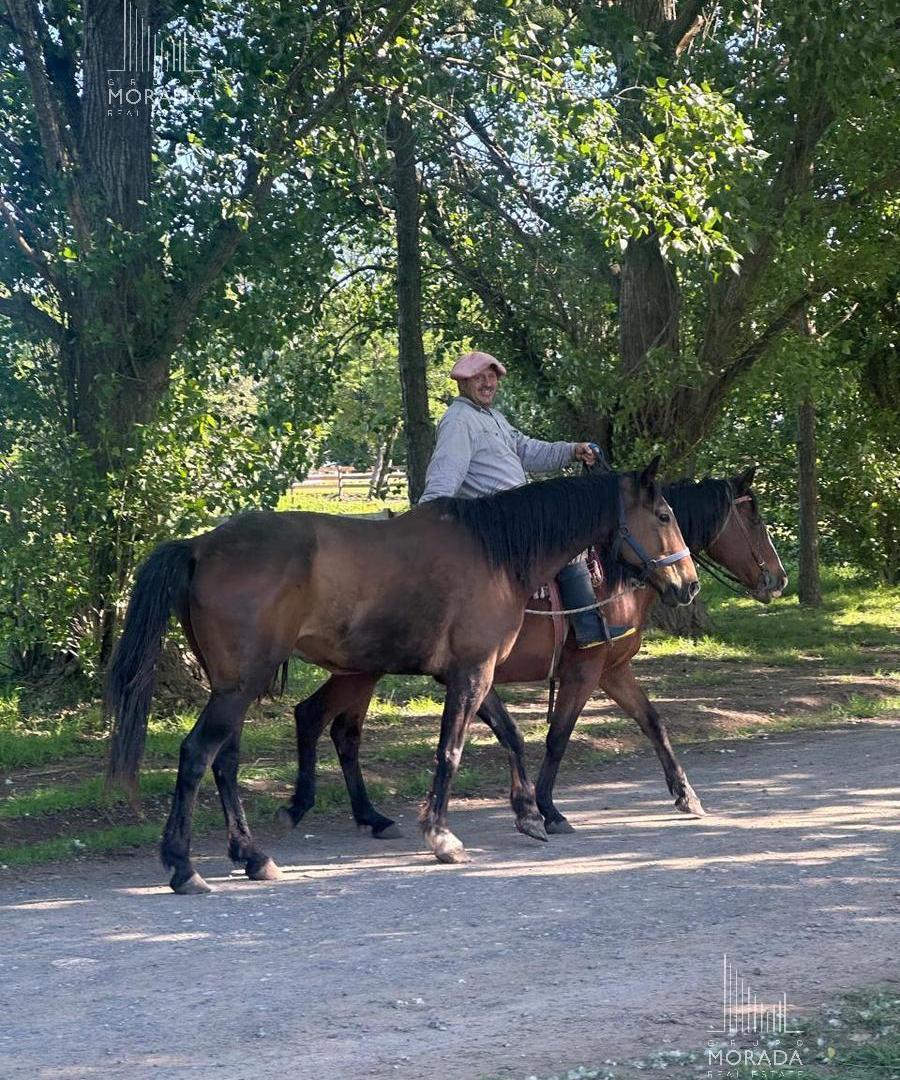 Foto de Venta Lote central y arbolado en Haras el Malacate Exaltación de la Cruz, imagen 2