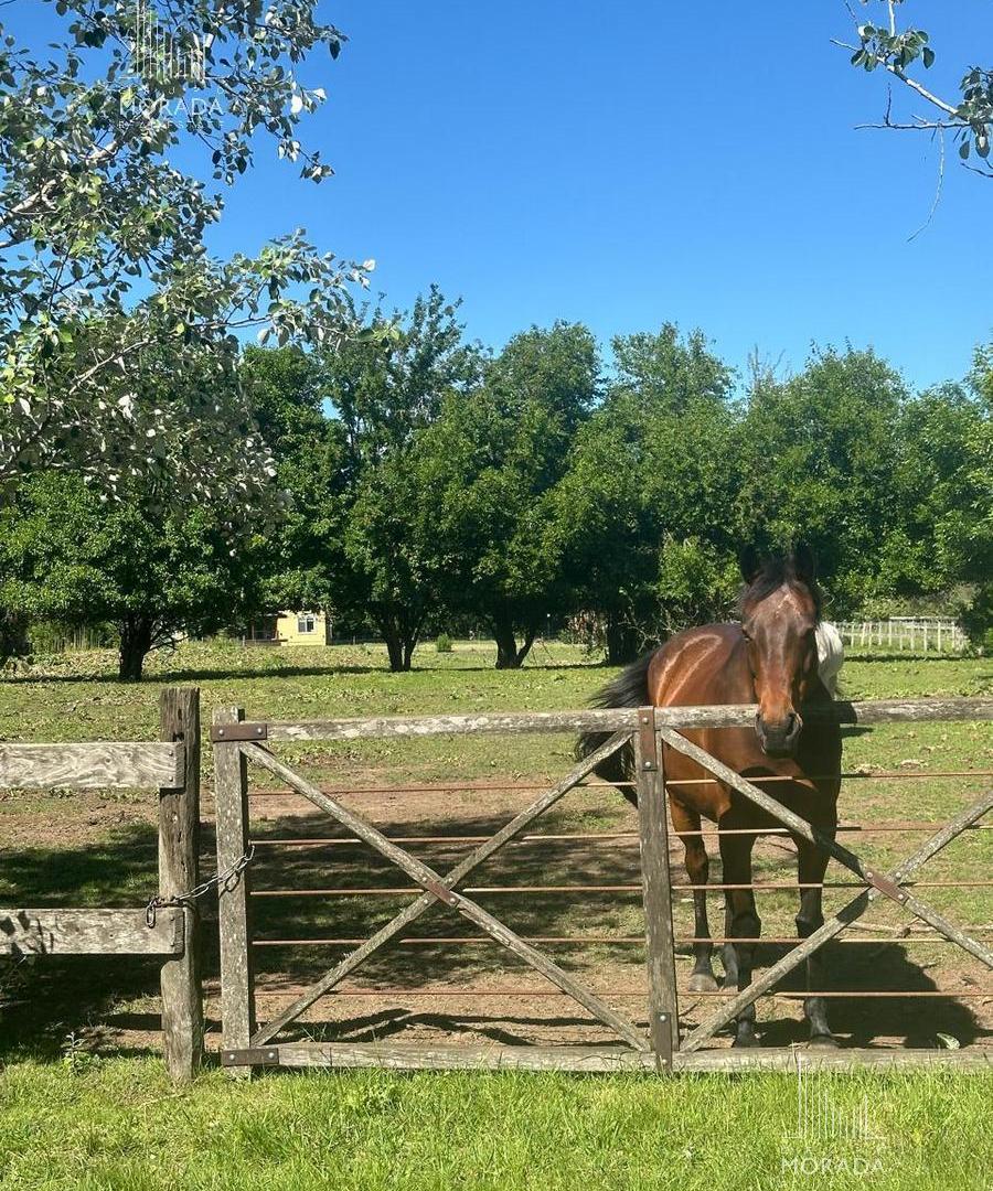Foto de Venta Lote central y arbolado en Haras el Malacate Exaltación de la Cruz, imagen 1