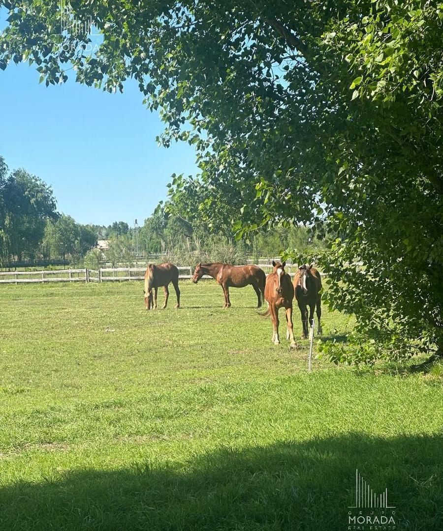 Foto de Venta Lote central y arbolado en Haras el Malacate Exaltación de la Cruz, imagen 3