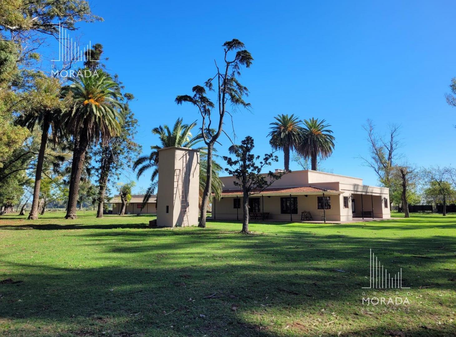 Foto de Venta campo agricola de 162 has con galpones y casa de visitas en Gral, imagen 1