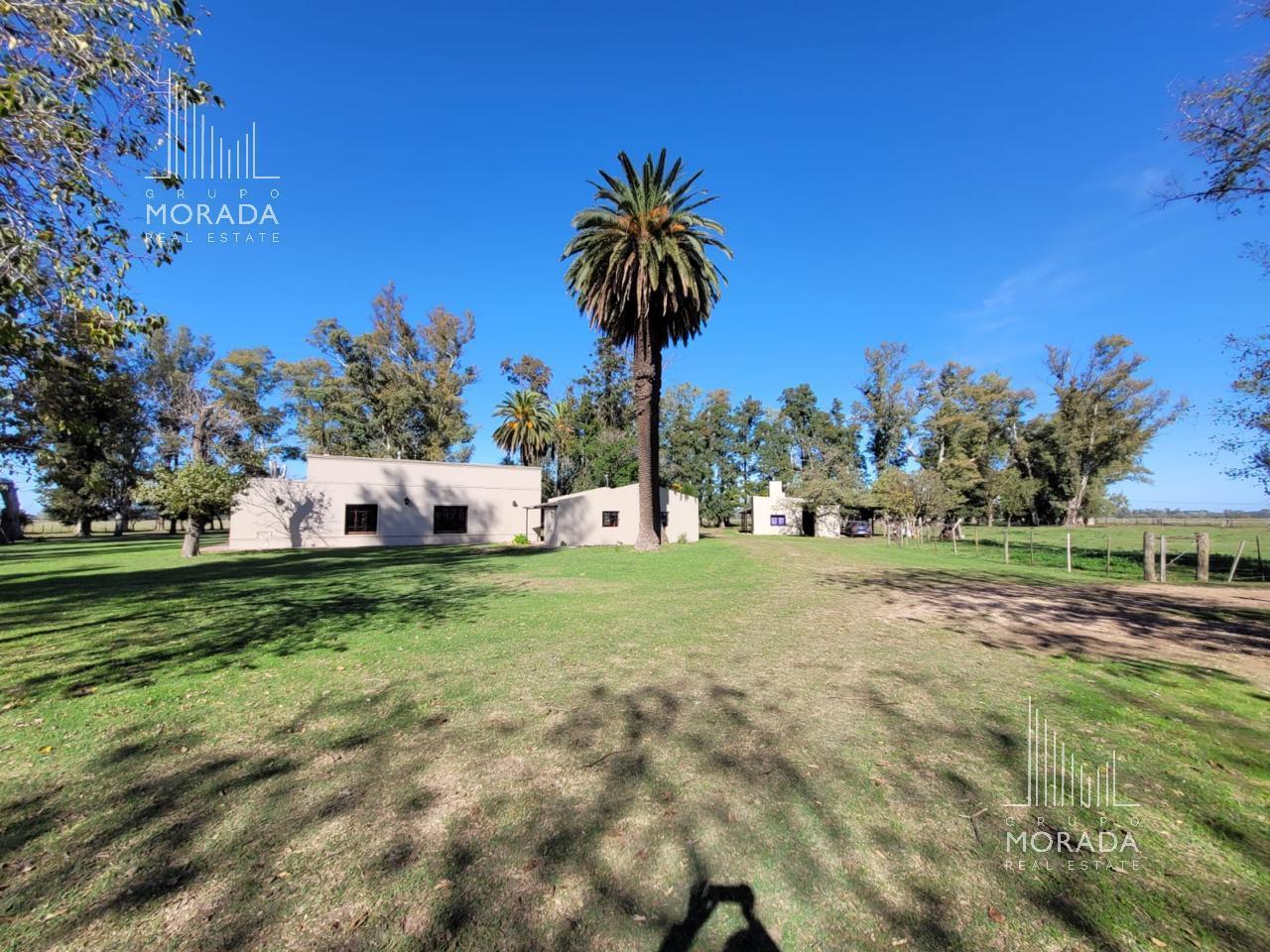 Foto de Venta campo agricola de 162 has con galpones y casa de visitas en Gral, imagen 5