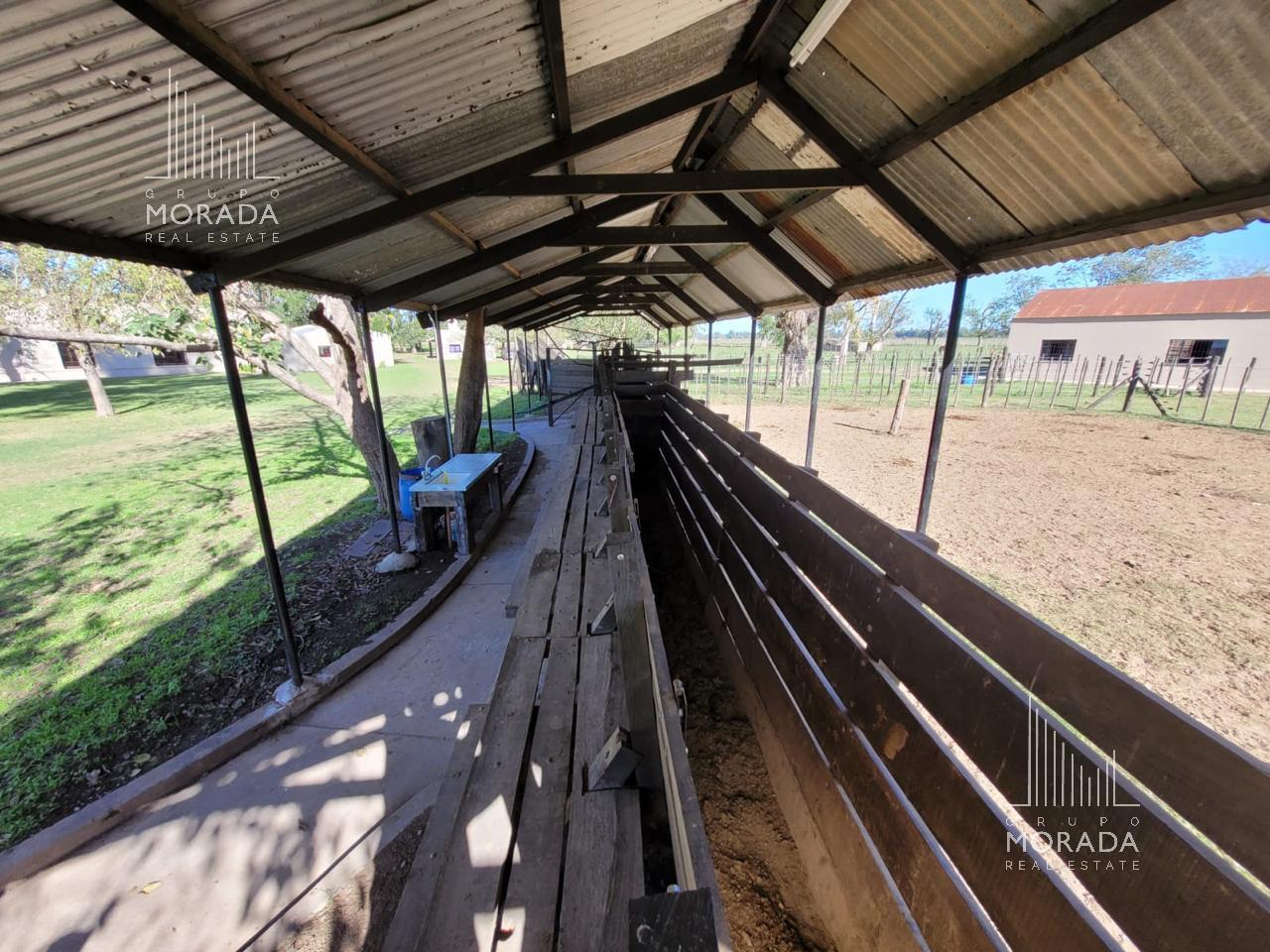 Foto de Venta campo agricola de 162 has con galpones y casa de visitas en Gral, imagen 4