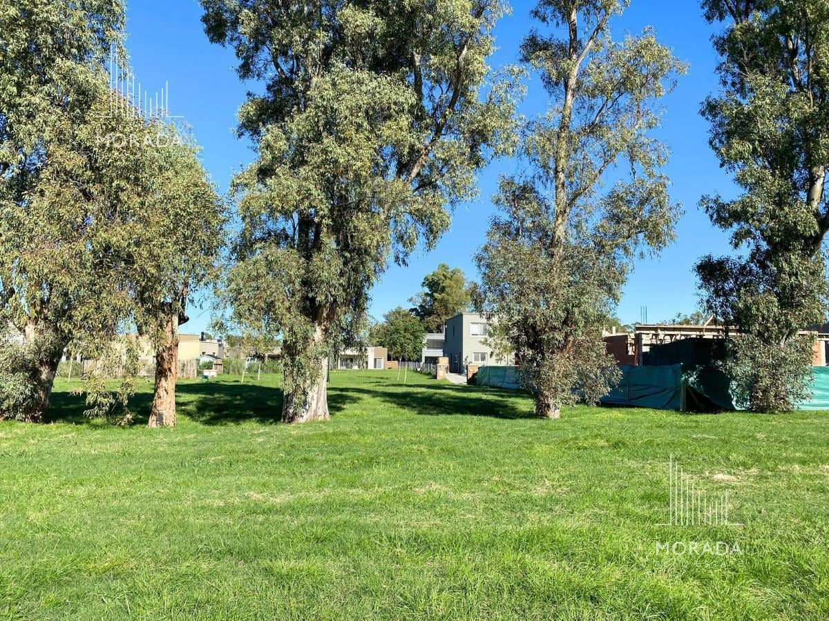 Foto de Terreno en venta en Santo Tomas Pilar 517 m2 lote central ACEPTA, imagen 5