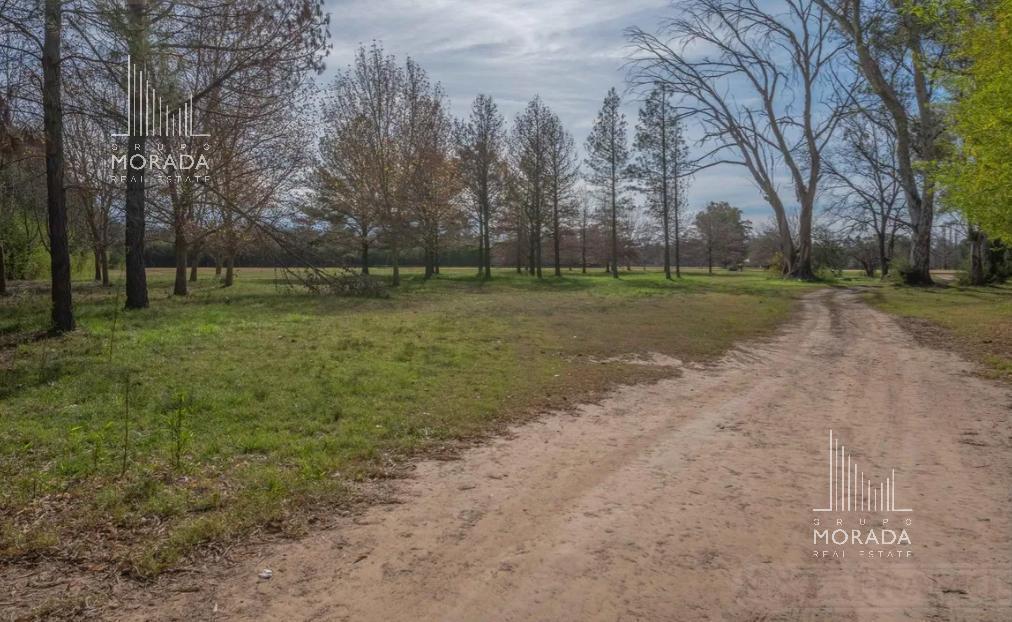 Foto de Terreno en Pilar, imagen 5