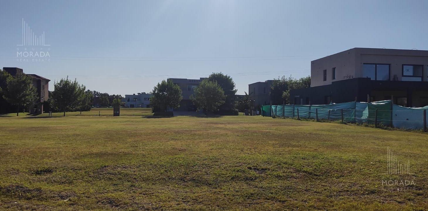 Foto de Terreno en venta en Altos de Campo Grande, imagen 3