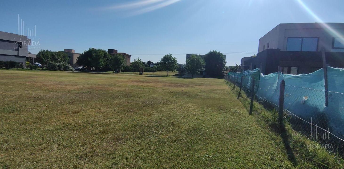 Foto de Terreno en venta en Altos de Campo Grande, imagen 2