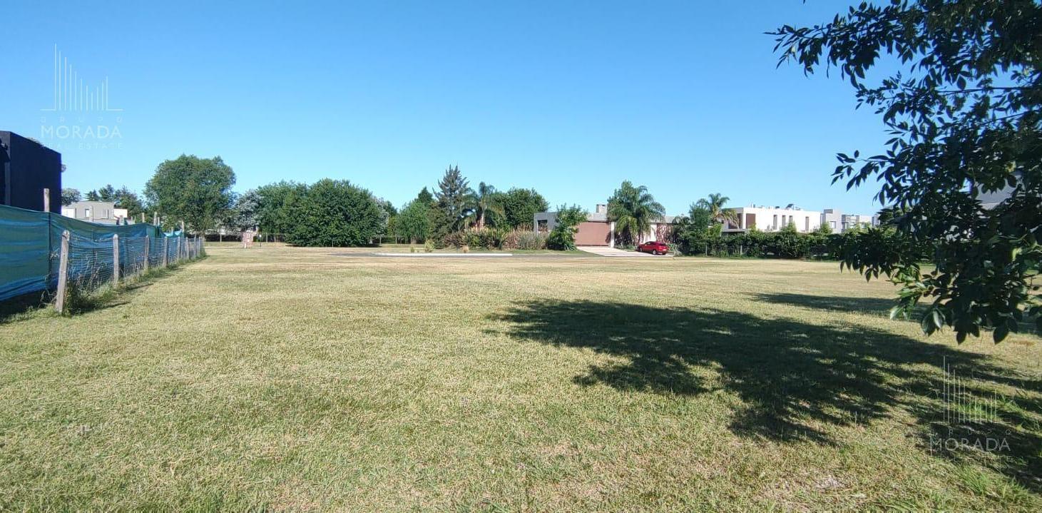 Foto de Terreno en venta en Altos de Campo Grande, imagen 5