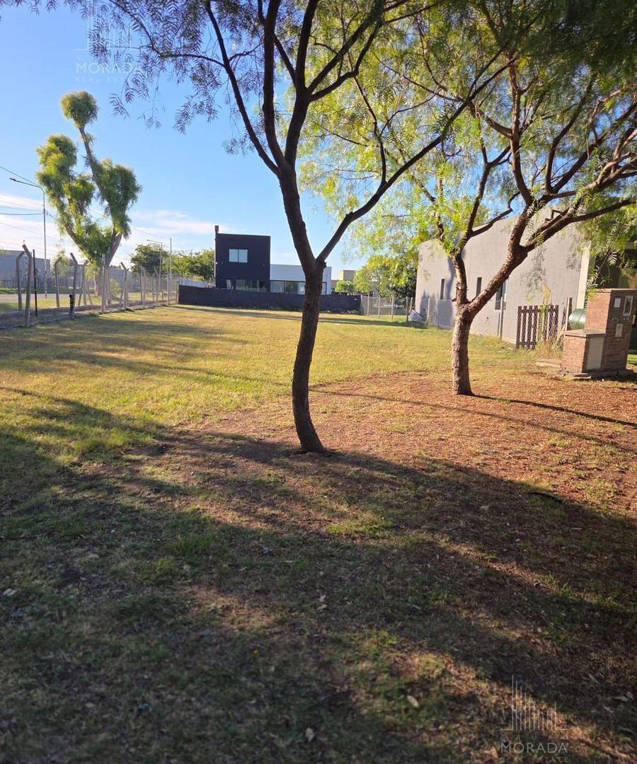 Foto de Terreno en Santa Elena, imagen 3