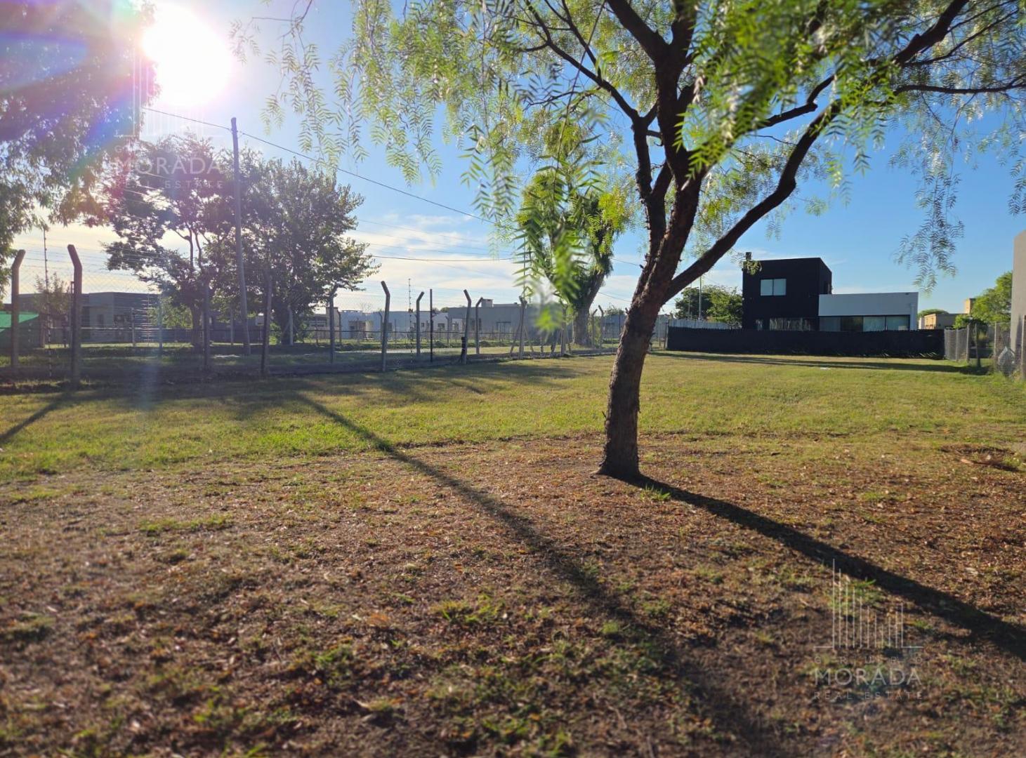 Foto de Terreno en Santa Elena, imagen 4