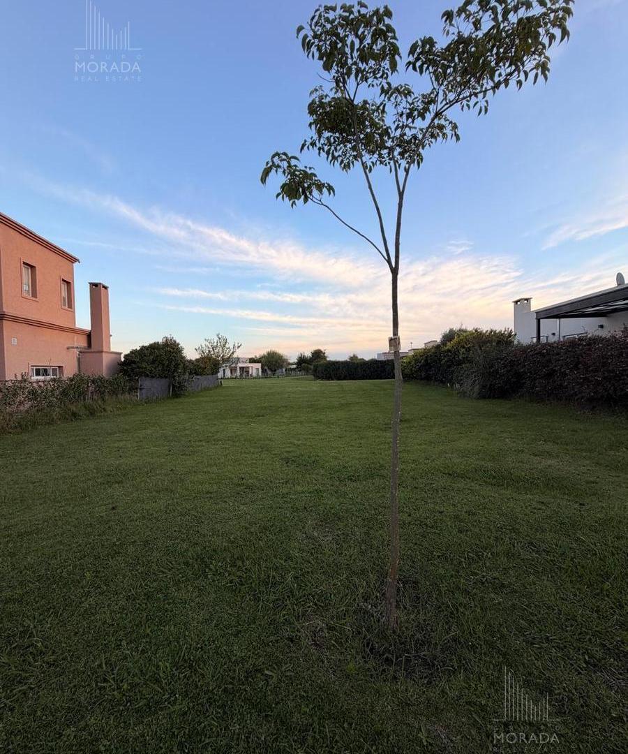 Foto de Lote en venta en San Ramiro, 620 mts, Pilar del Este, imagen 2