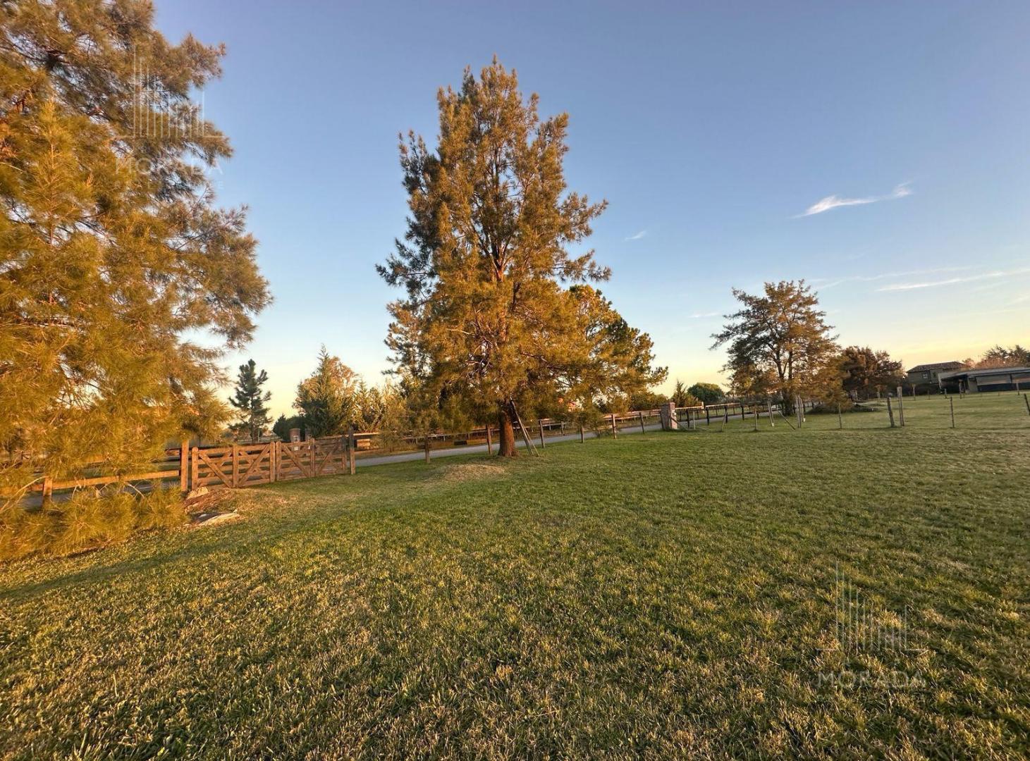 Foto de Venta LOTE CENTRAL de 5.000 M2. ÚNICO POR SU UBICACIÓN. OPORTUNIDAD, imagen 4