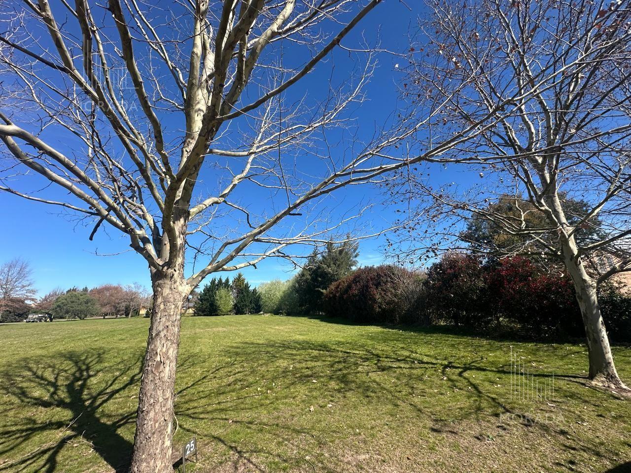 Foto de Terreno en Chacras De La Cruz, imagen 3